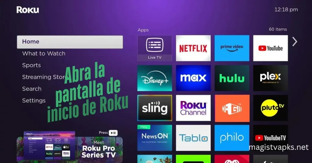 Abra la pantalla de inicio de Roku